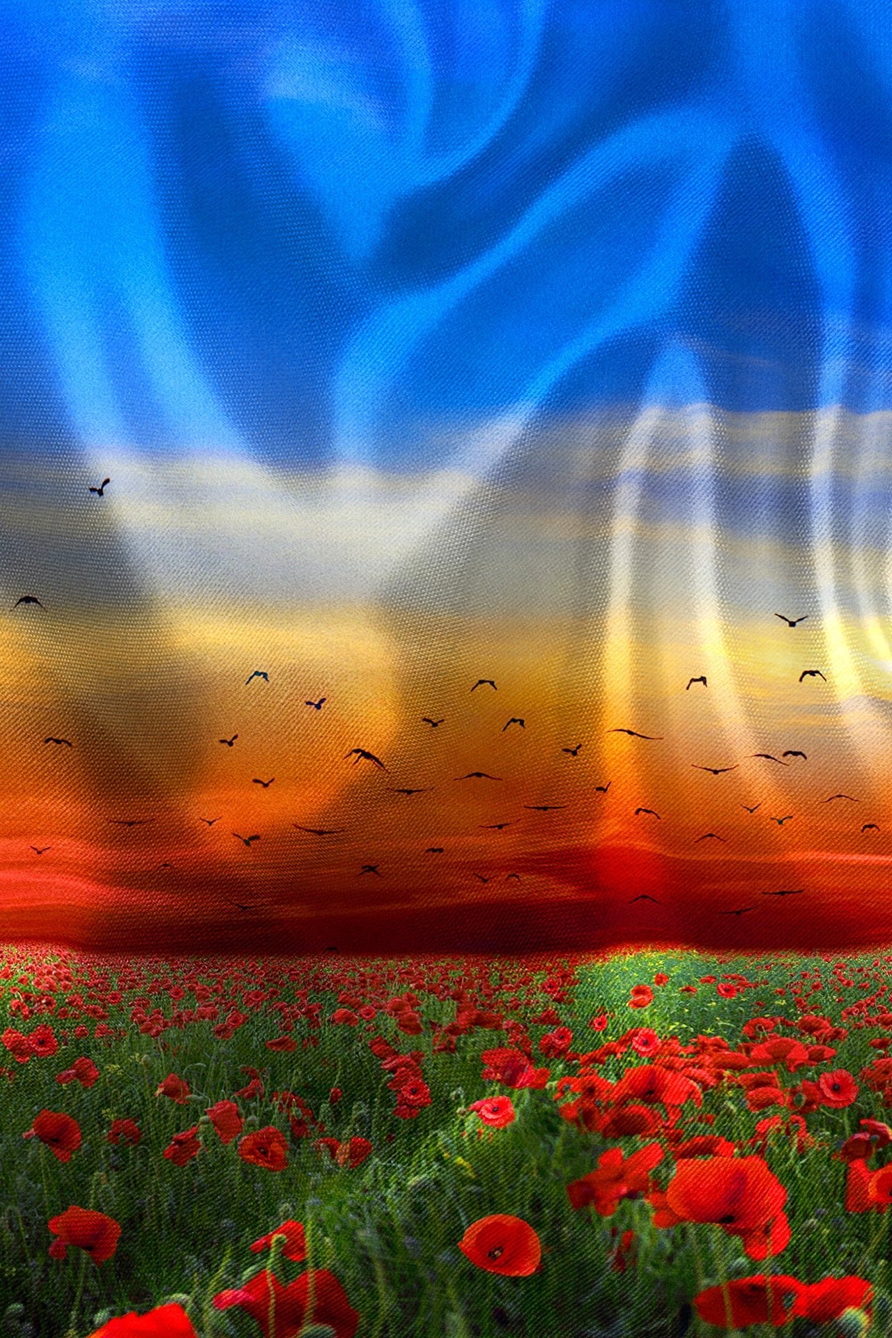 POPPY FIELD PLACEMENT PRINT SHIRT - Premium Men's Patterned Shirt by Claudio Lugli | Bold Design, Tailored Fit, Best Printed Shirts