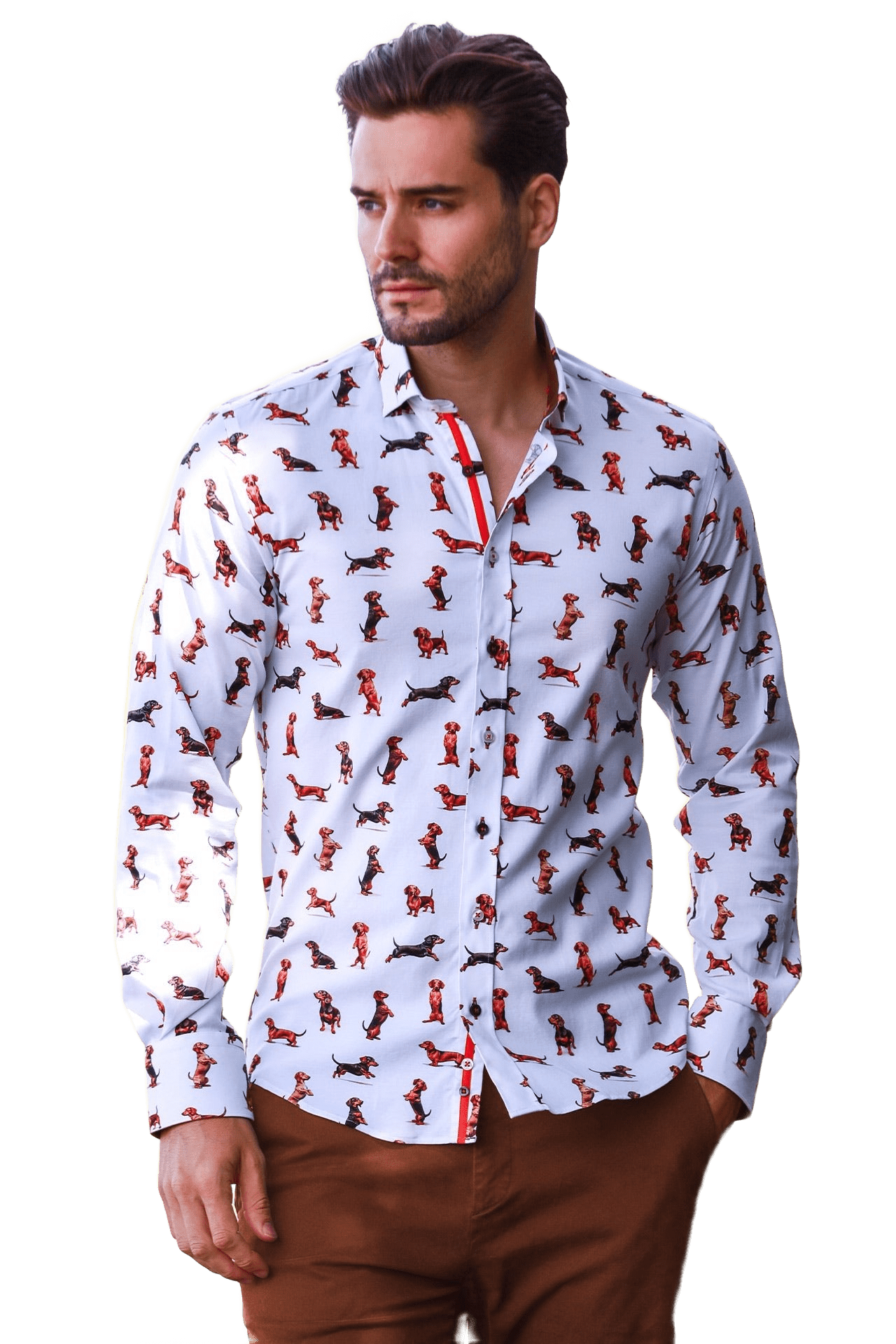 The Dachshund Tencel Print Shirt - Claudio Lugli Shirts