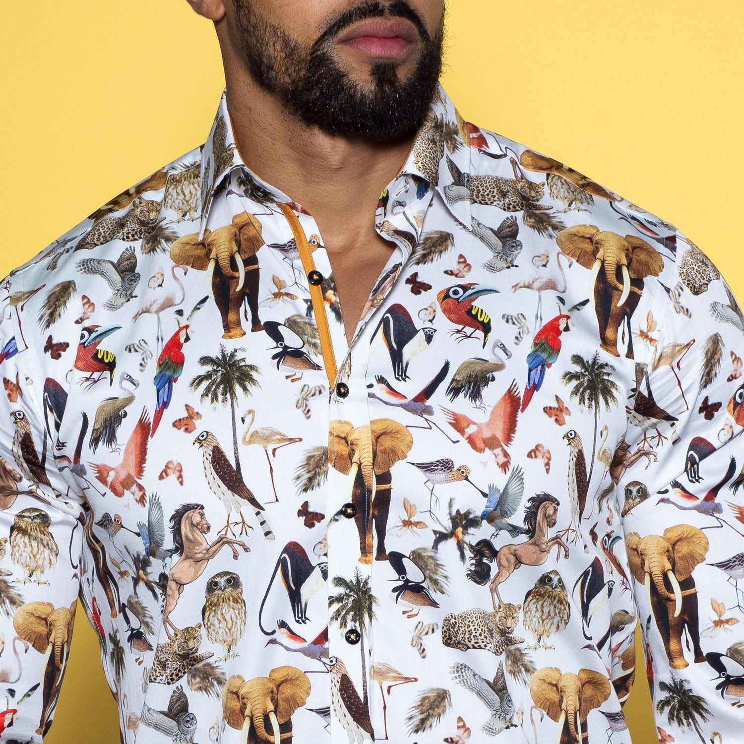 ANIMAL KINGDOM PRINT SHIRT