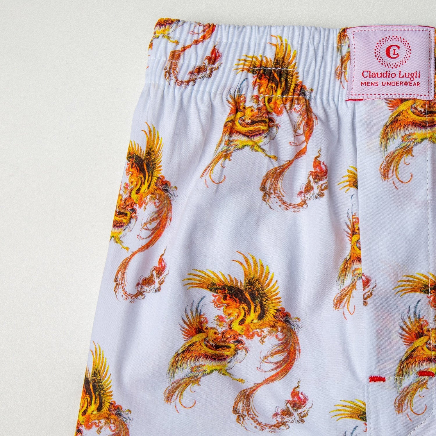 PHOENIX COTTON POPLIN PRINT BOXER SHORTS