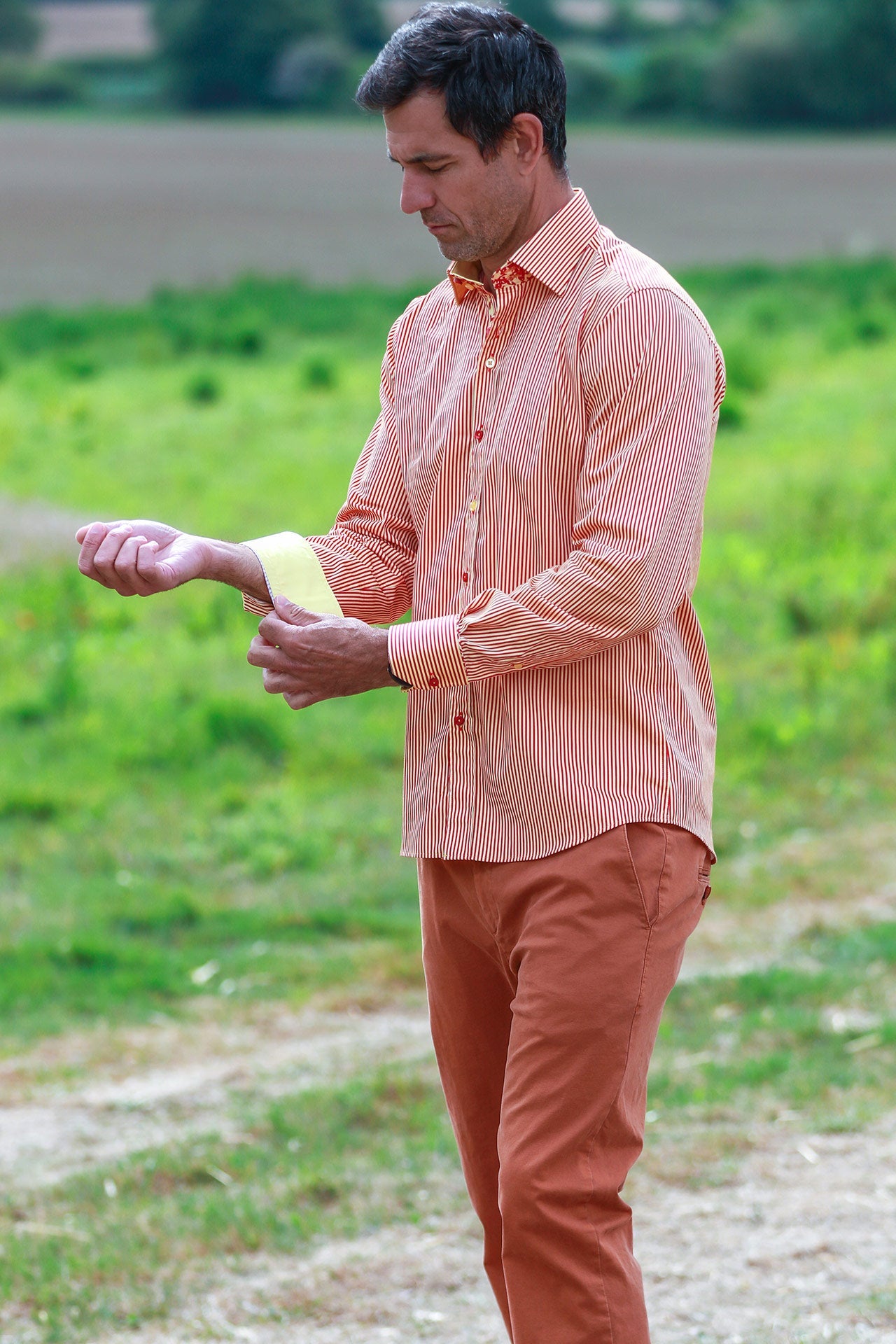 CL2549 STRIPE - Claudio Lugli Shirts