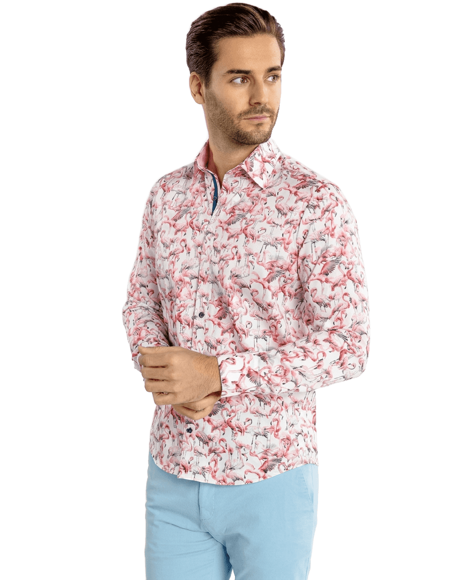 Flamboyance of Flamingos Print Shirt - Claudio Lugli Shirts