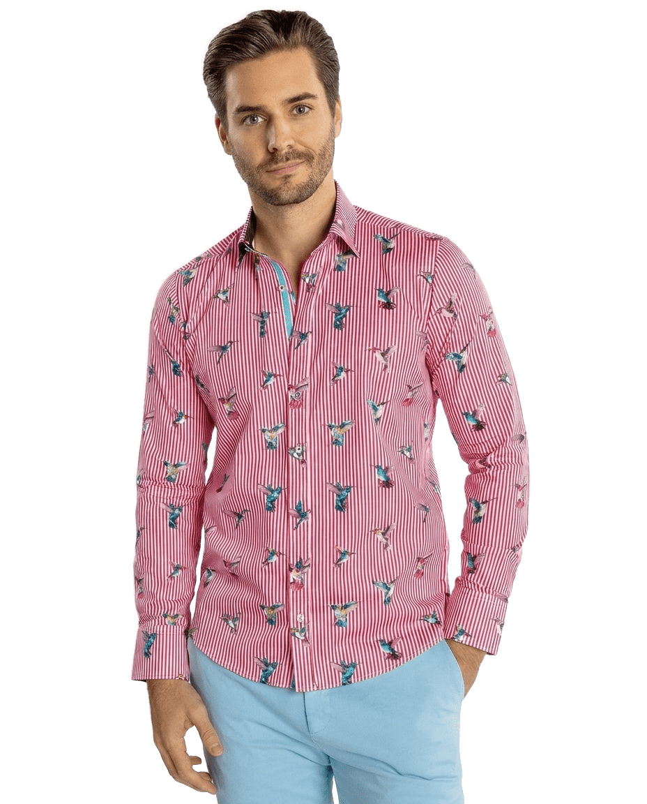 Hummingbird Striped Print Shirt - Claudio Lugli Shirts