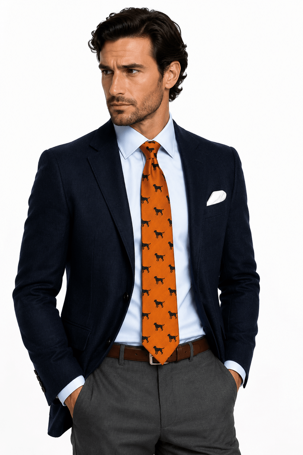 Labrador Country Silk Neck - Tie by Van Buck - Claudio Lugli Shirts
