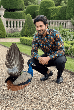 Peacock Plumage Print Shirt - Claudio Lugli Shirts