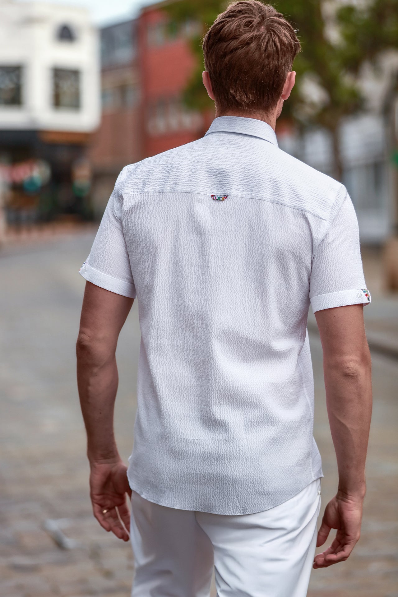 Textured Classic Seersucker Short Sleeve Shirt - Claudio Lugli Shirts