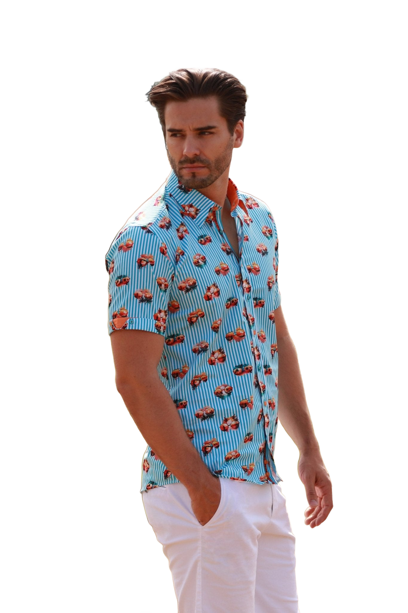 Tropical Visions Stripe Short Sleeve Shirt - Claudio Lugli Shirts